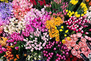 萝莉游戏《虚实万象》新情报 故事背景和人物介绍