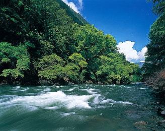 未来游戏展：转型模拟风格 《德波尼亚求生》预告片